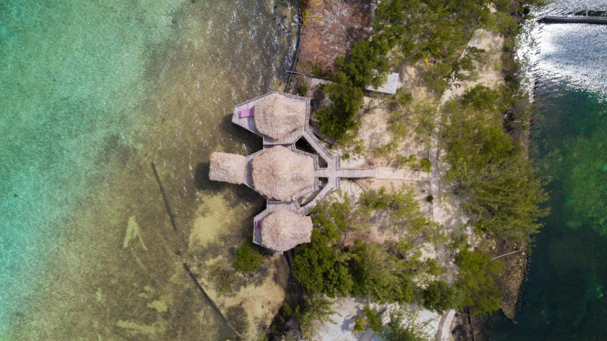 Thatch Caye Resort A Muy'Ono Resort Хопкинс Номер фото